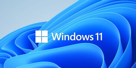 Windows 11 convert disk to GPT